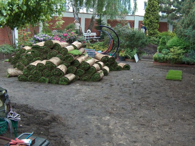 220274_203043179717501_8100885_o