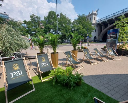 225358158_4349745085047269_4695123130146431438_n