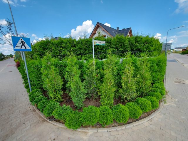 240713364_4432104096811367_188921847061349595_n