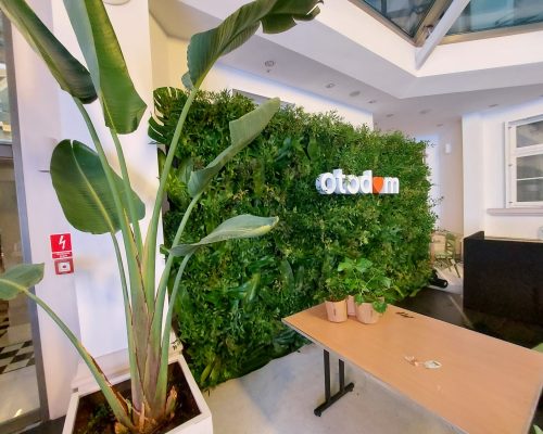 241032975_4448809575140819_4191864408572427684_n