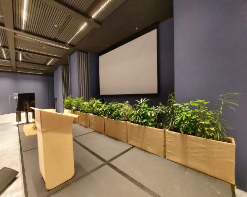 241059711_4459434047411705_2354087531330768355_n