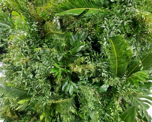 242892751_4629759330379175_7797816684332114063_n