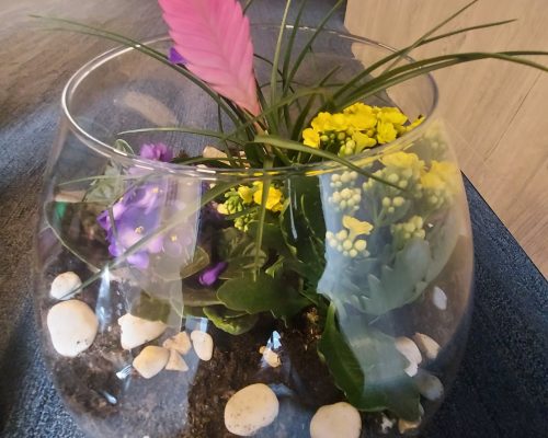 244449420_4611008238920951_8903720239784626593_n