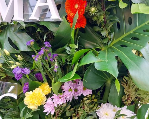 244610259_4564067270281715_3443958114163218601_n