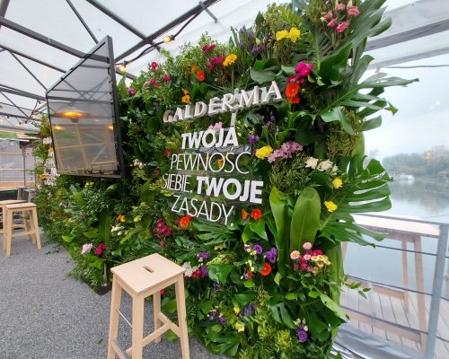 244649062_4564324586922650_4976121822393388339_n