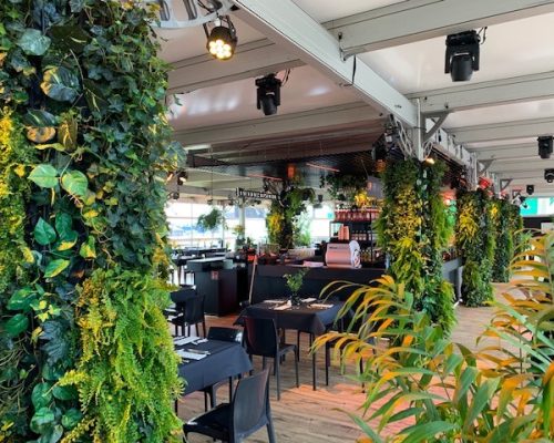 65830453_2427372220617908_6927938739876397056_n